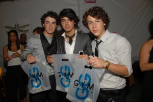 Musicians The Jonas Brothers